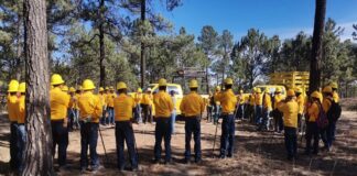Buscan reconocer labor de voluntarios que combaten incendios forestales