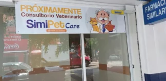 ¡Es real! el Doctor Simi será veterinario también