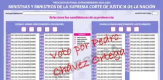 No te equivoques, no votes por ‘Shakira’: ¿Cómo lograr que tu voto sea válido?