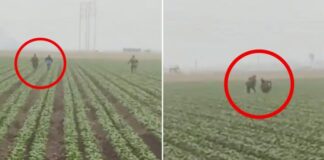 “Por sentido común”, Trump frena cacería en granjas y hoteles