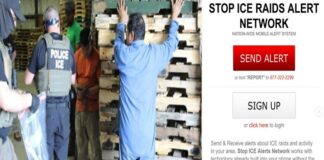 En tiempo real, comunidad latina recibe alertas sobre redadas en Los Ángeles