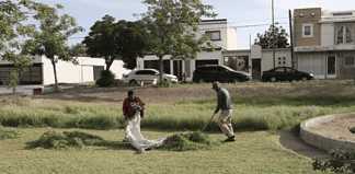 Dan mantenimiento a áreas verdes de Nuevo Milenio; llaman a vecinos a solicitar jornadas