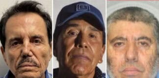 El Mayo, Caro y El Viceroy libran la pena capital; procesados en EU