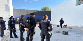 Concluyen elementos de K-9 capacitación especializada