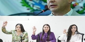 Propone diputado Villalobos Comisión de Juventud obligatoria para Ayuntamientos