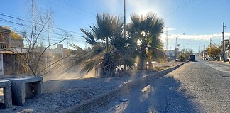 Dan mantenimiento al camellón central del bulevar Búfalo