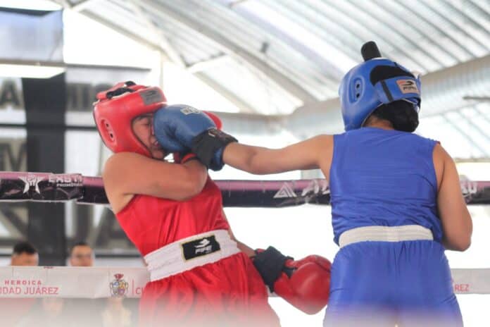 olimpiada municipal boxeo