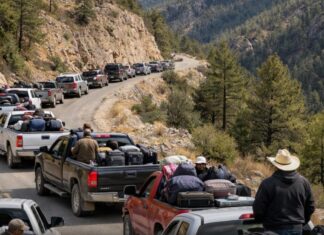 Huyeron 80 personas de Guadalupe y Calvo desplazados por el narco