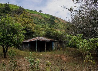 FGR halla 10 cuerpos en búsqueda de mineros desaparecidos en Sinaloa; 5 ya fueron identificados