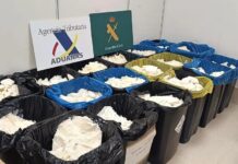 Aceite de coco resultó ser metanfetamina; España decomisa 625 kg procedentes de México