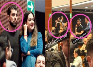 DESENTUERTOS: PLACEA ANDREA A SU MARIDO EN EL SENADO