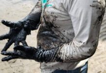 Presumen limpieza de chapopote en 165 km de litoral del Golfo de México, que sería sólo 26.19% de superficie contaminada