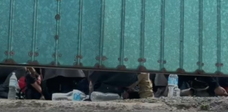 Rescatan a 229 migrantes que estaban hacinados en caja de tráiler en Xalapa, Veracruz