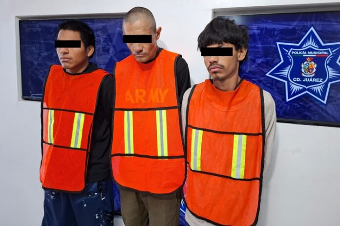 lacras-ratas