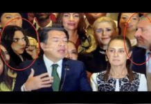 DESENTUERTOS: PANISTAS SE LAMEN LOS BIGOTES PORQUE SEA ANDREA LA CANDIDATA