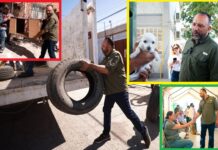 DESENTUERTOS: ORTIZ ORPINEL SE ARREMANGA Y SALE A CAMPO