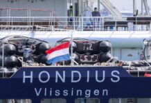 OMS declara oficialmente el fin del brote de hantavirus vinculado al crucero MV Hondius