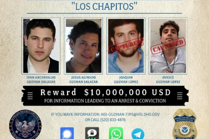 chapitos