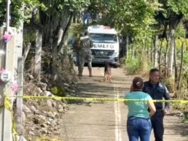 Fin de semana en México reportó 133 homicidios dolosos