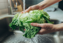Lechuga de origen mexicano detrás del brote de “diarrea explosiva” en Estados Unidos, según FDA