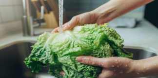 Lechuga de origen mexicano detrás del brote de “diarrea explosiva” en Estados Unidos, según FDA