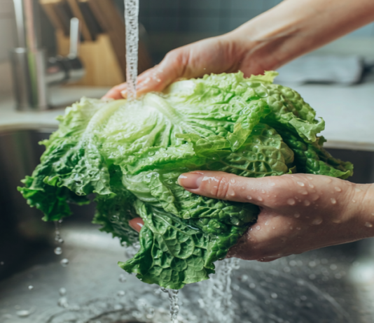 Lechuga de origen mexicano detrás del brote de “diarrea explosiva” en Estados Unidos, según FDA