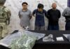 Cuidaban con esmero dos plantas de marihuana en domicilio