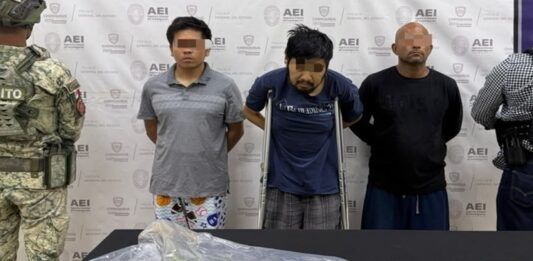 Cuidaban con esmero dos plantas de marihuana en domicilio