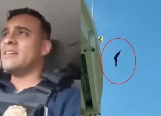 ‘Cuiden su salud mental’: el mensaje de un policía antes de lanzarse de puente en León