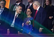 DESENTUERTOS: REGRESA SHEINBAUM SIN PENA NI GLORIA